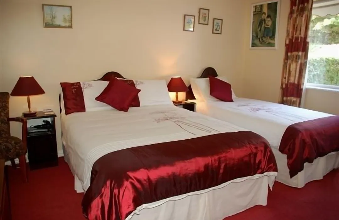 Adare House Bed & Breakfast-1